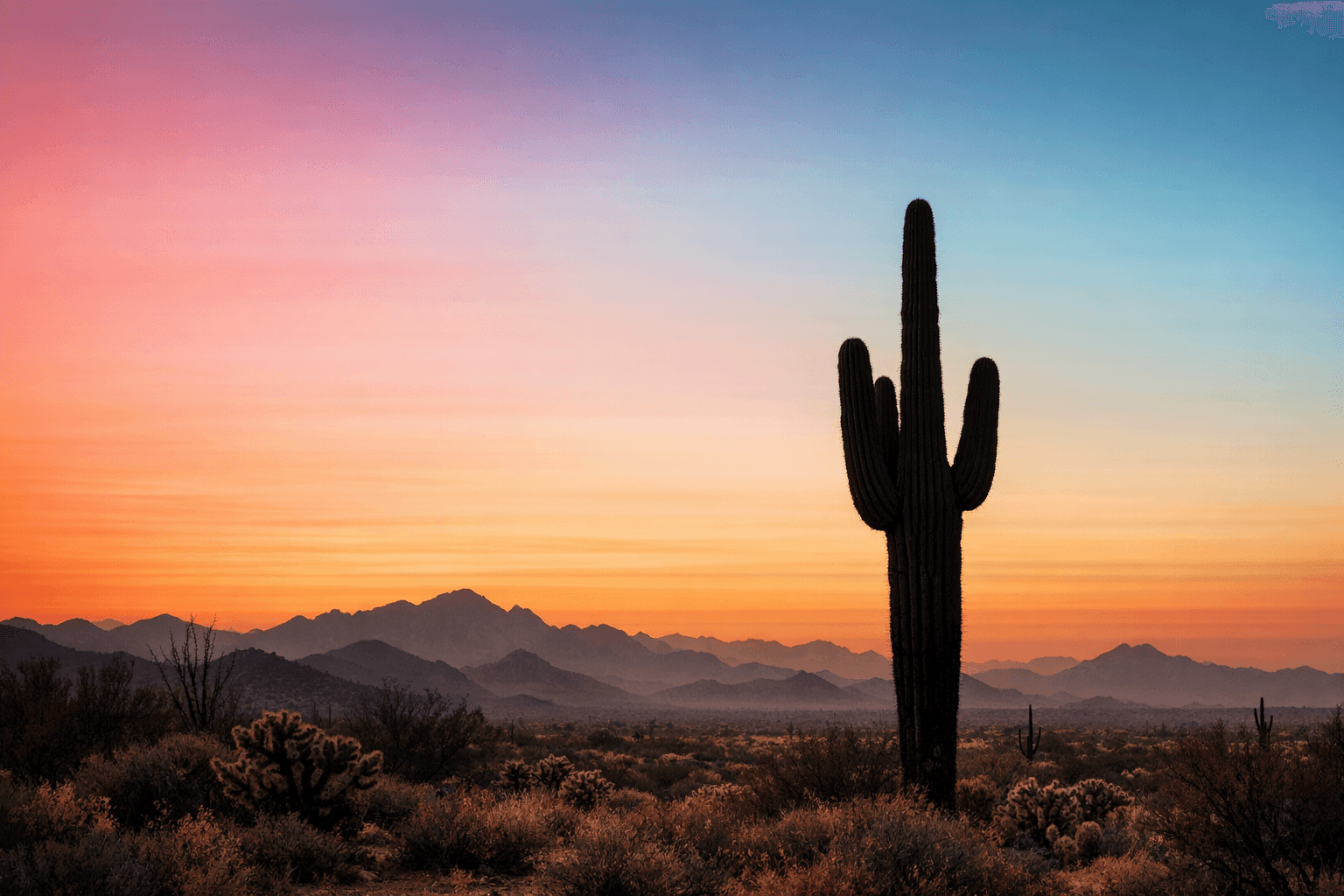 Valley Fever in Arizona health guide