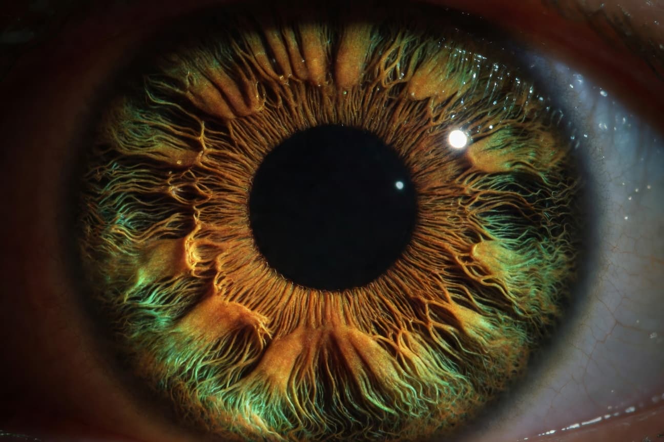 Eye Care providers in Arizona